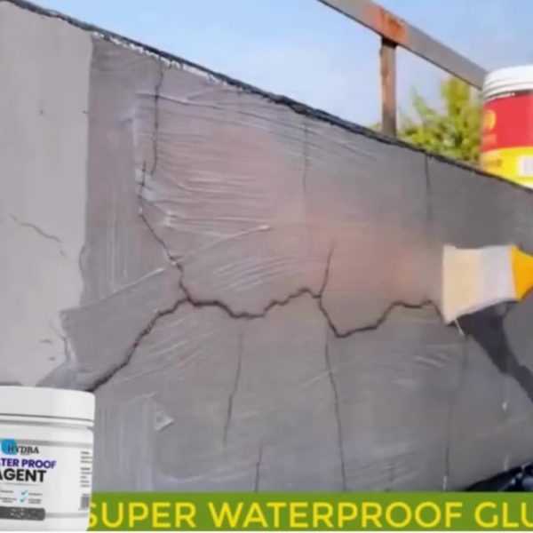 water Proof Anti Leakage Agent With Brush save roofs walls from Rain Water(250g)