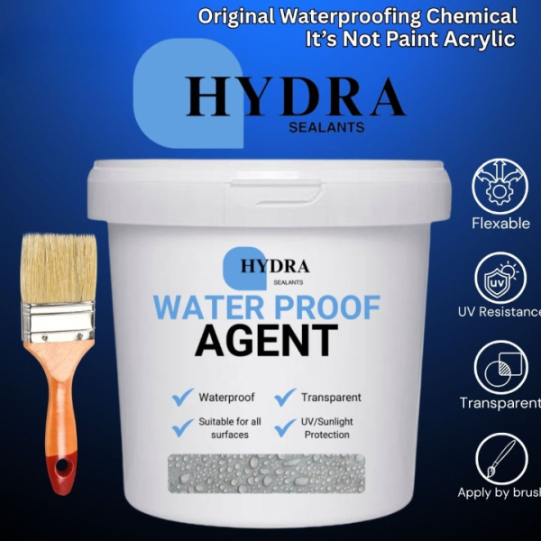 water Proof Anti Leakage Agent With Brush save roofs walls from Rain Water(250g)