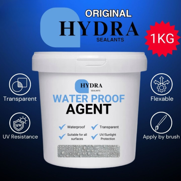 water Proof Anti Leakage Agent With Brush save roofs walls from Rain Water(250g)